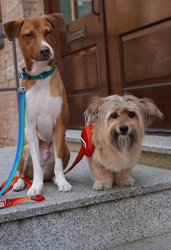 Gentle Leash Bolt - 3 Colors