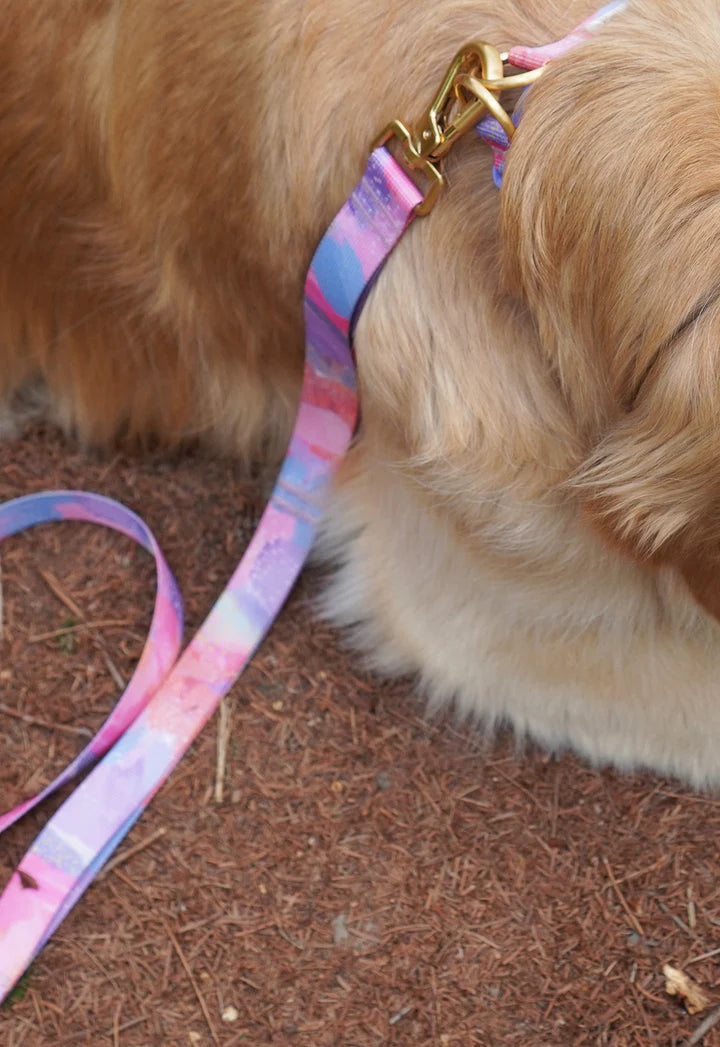 Gentle Leash Bolt - 3 Colors