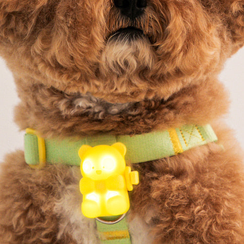 Jellybear LED Rechargable Blinker - 3 Colors