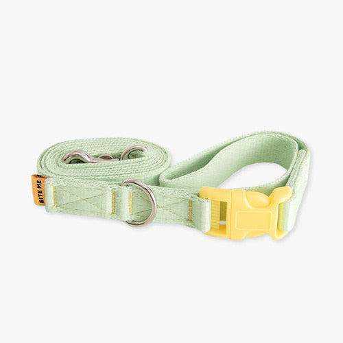 Candy Crayon Short Leash- 3 Pastel Colors
