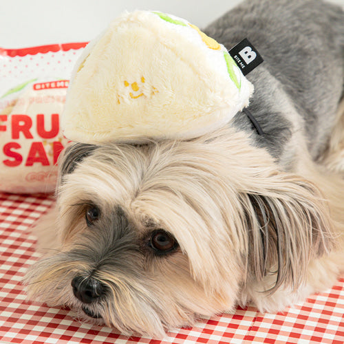 Fruit Sandwich Enrichment Toy