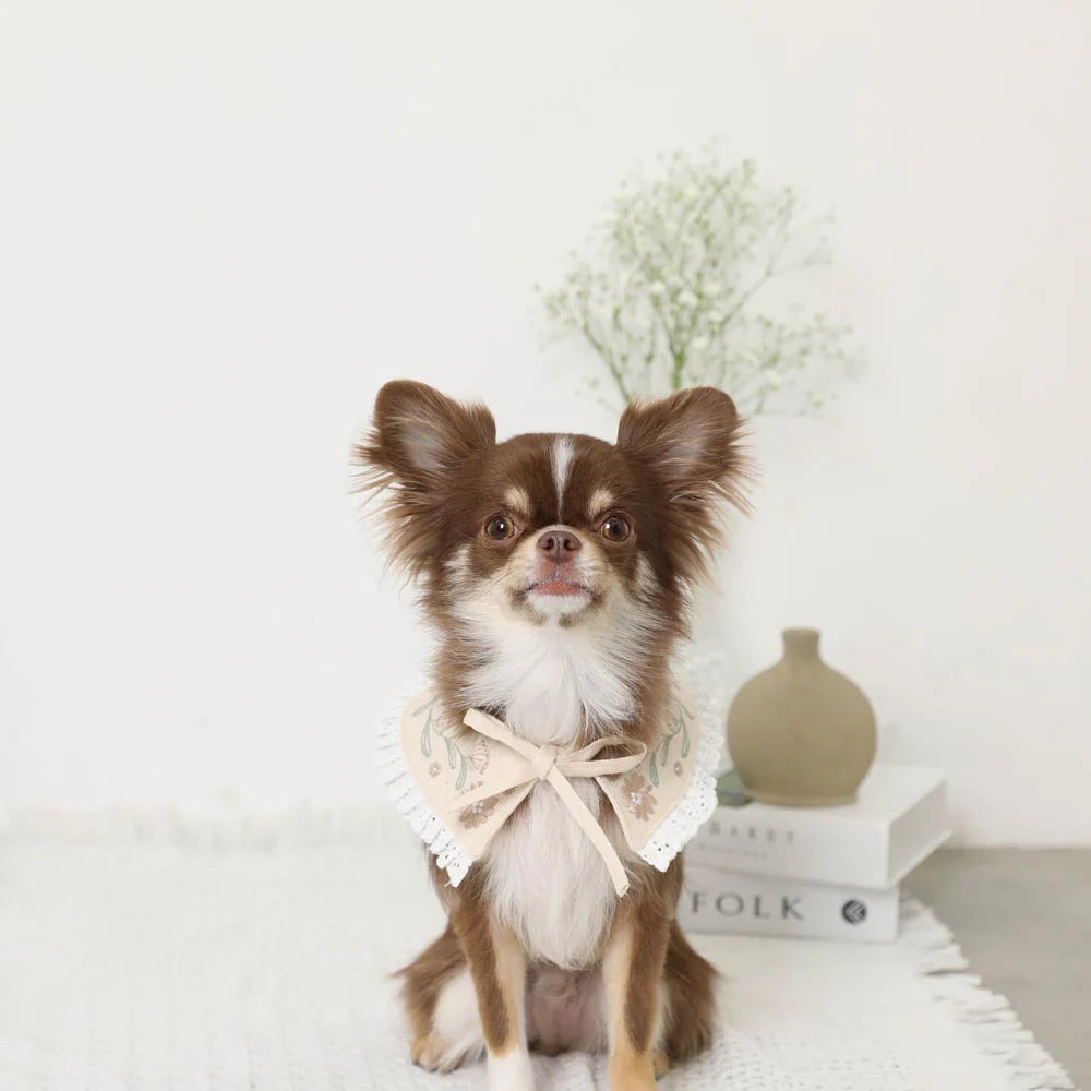 Flower Embroidered Frill Collar