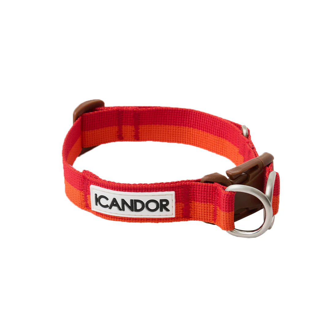 Gentle Collar - 4 Colors