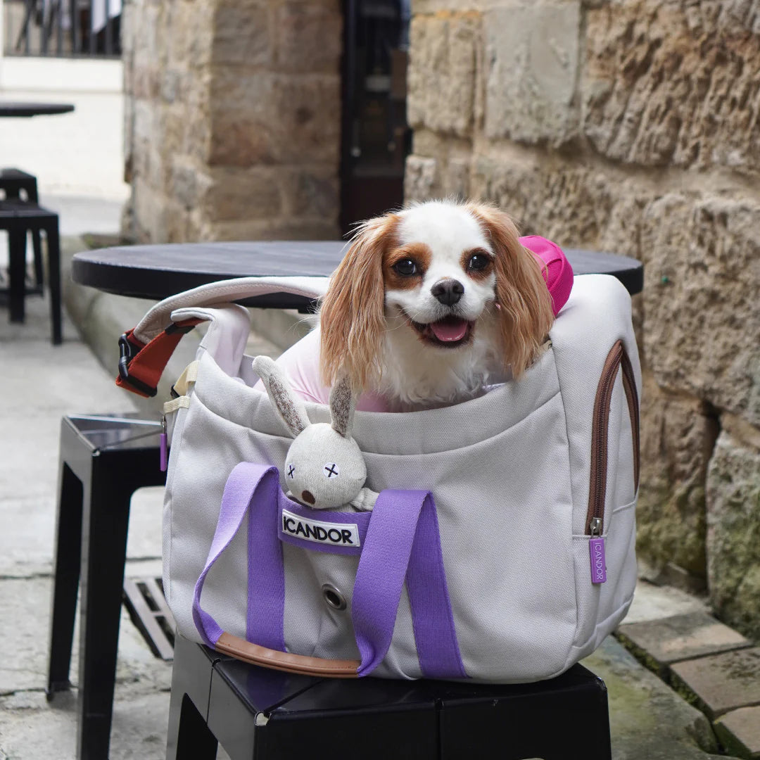 Peek-a-Boo Pet Sling Bag (Plum Gray)