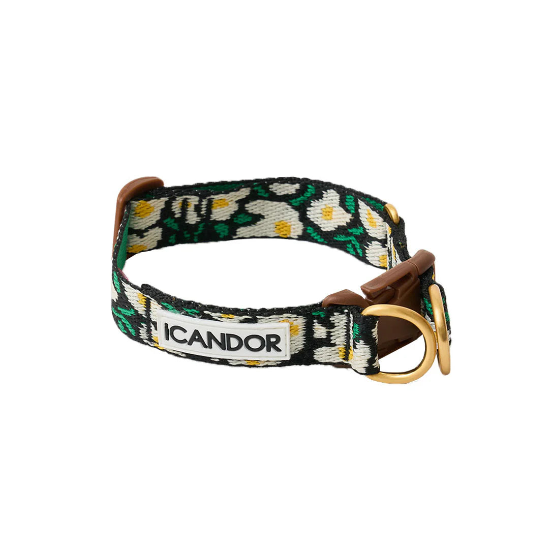 Gentle Collar - 4 Colors