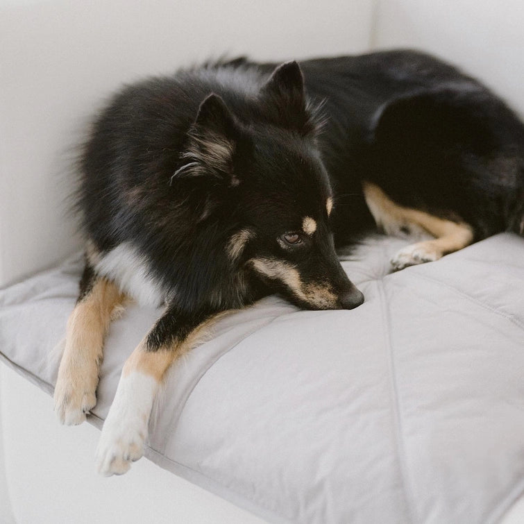 Orii | Ultralight Dog Travel Mat - 3 Colors