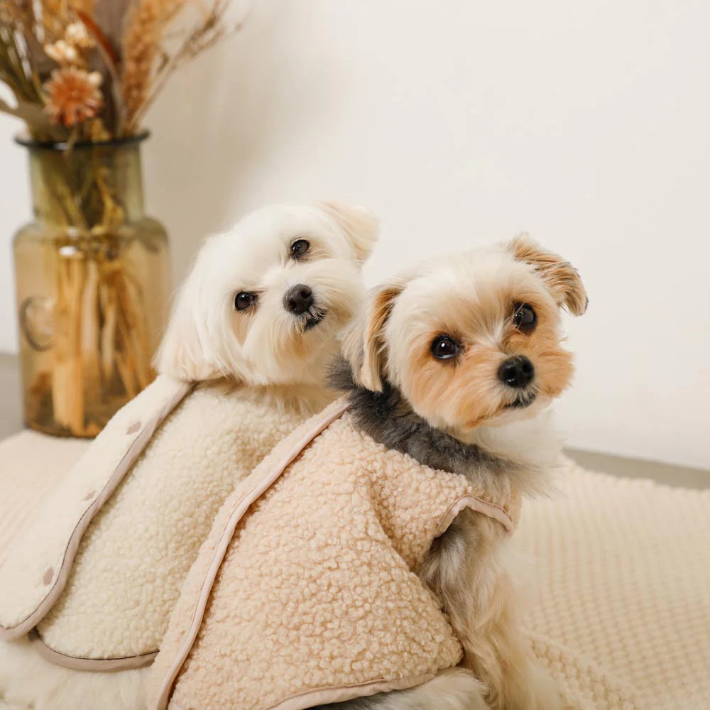 Reversible Boa Bear Quilted Jacket - 2 Colors