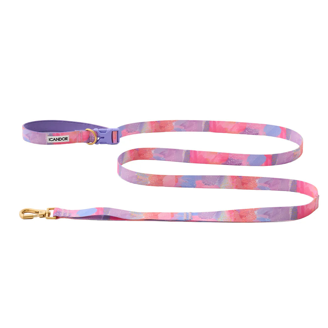 Gentle Leash Bolt - 3 Colors