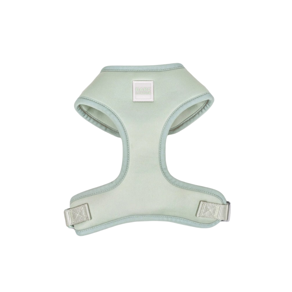 Pistachio Green Basic Walk Set