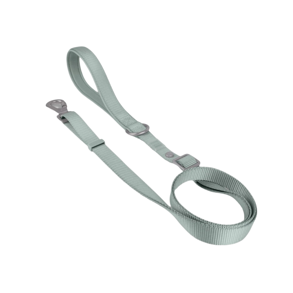 Pistachio Green Basic Walk Set