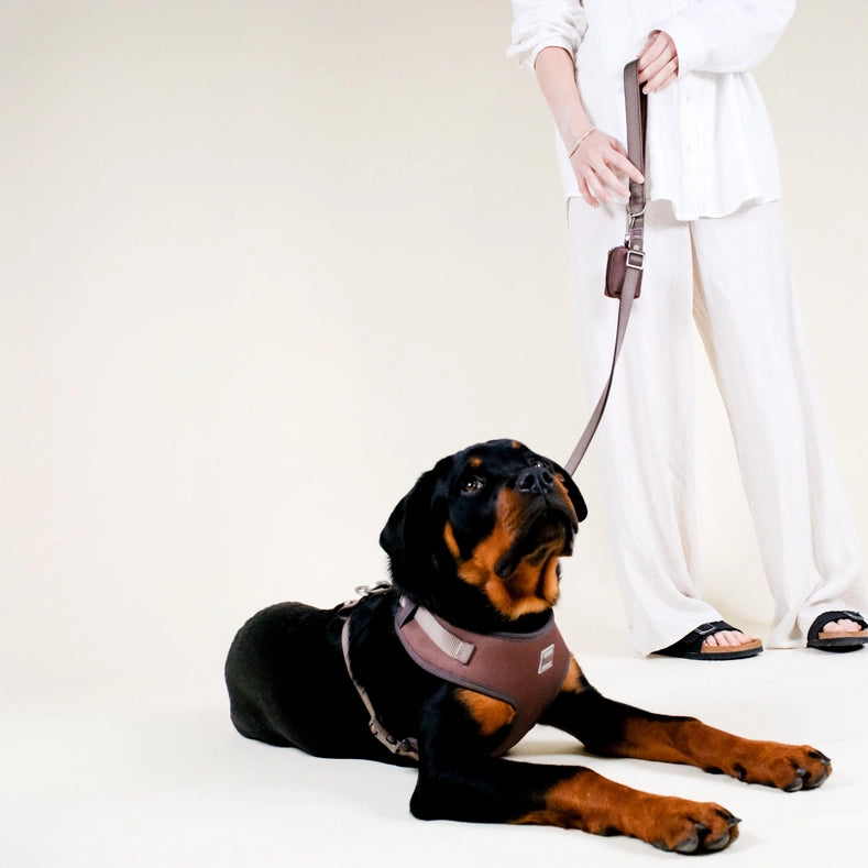 Russet Brown Adjustable Dog Leash