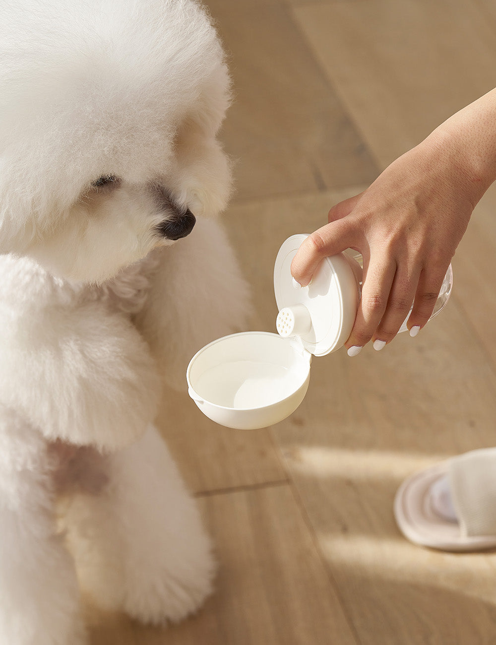 Portable One-touch Water Bottle - 3 Colors
