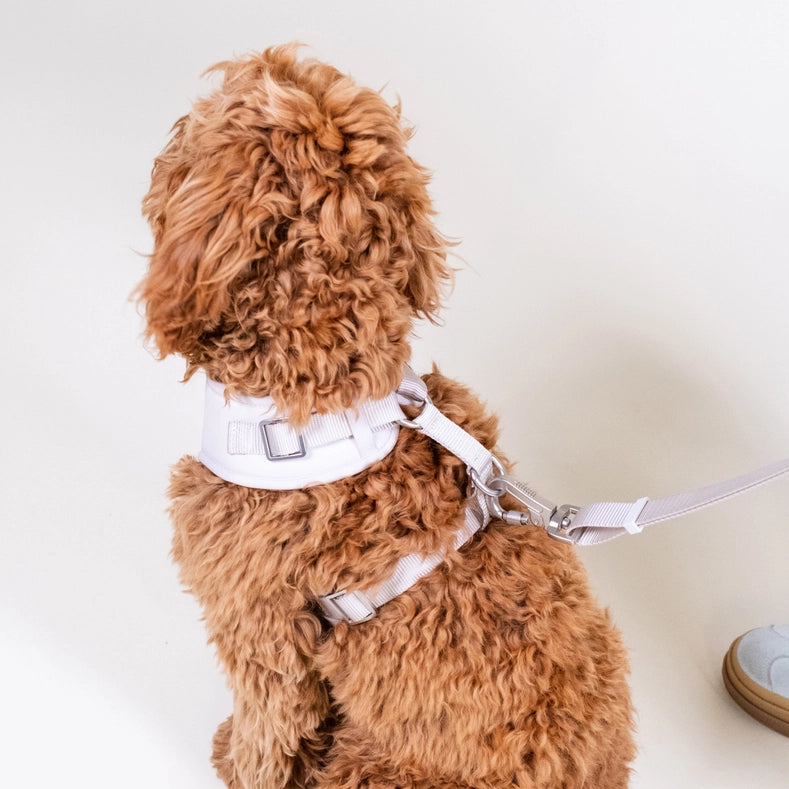 Cream Basic Walk Set