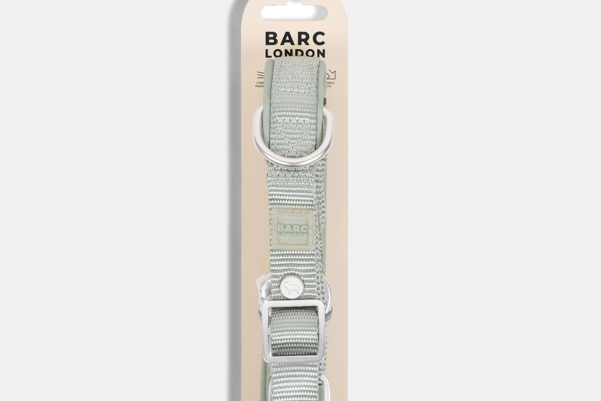 Pistachio Green Adjustable Dog Lead