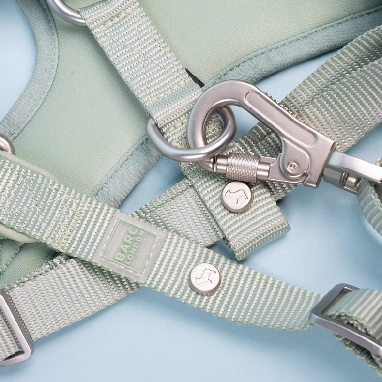 Pistachio Green Basic Walk Set