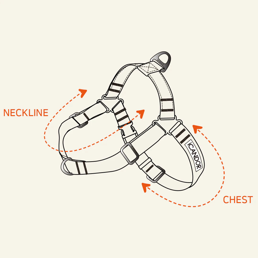 No Pull Harness - 4 Colors