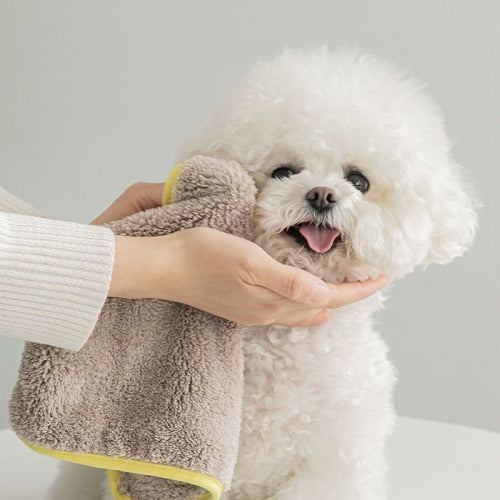 Mini Microfibre Pet Towel (2 pieces)