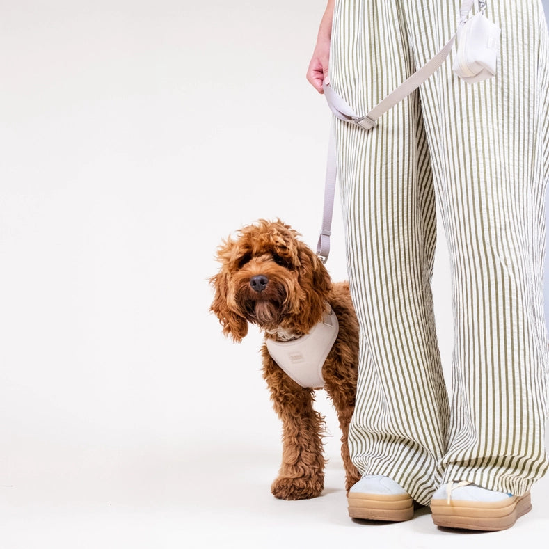 Cream Basic Walk Set