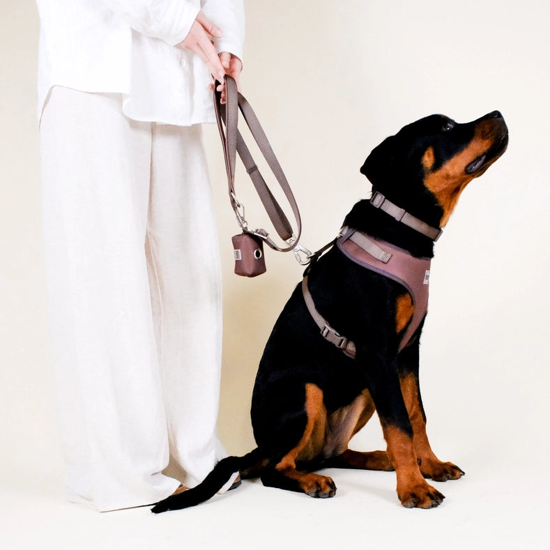 Russet Brown Waste Bag Holder | Dog Poop Bag Dispenser