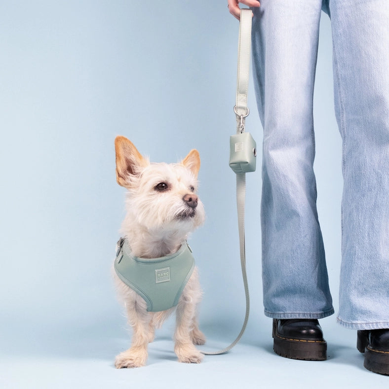 Pistachio Green Basic Walk Set