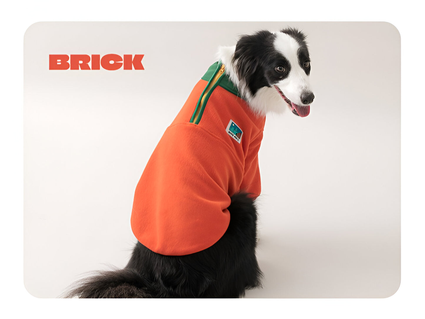 Anorak Fleece Sweater - 3 Colors