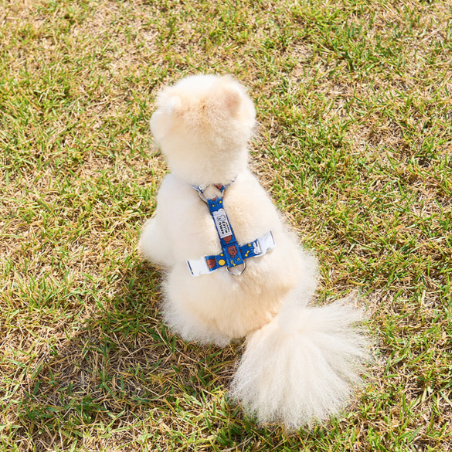 Colorful Miffy Harness