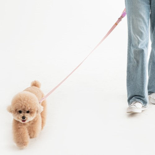 Candy Crayon Short Leash- 3 Pastel Colors