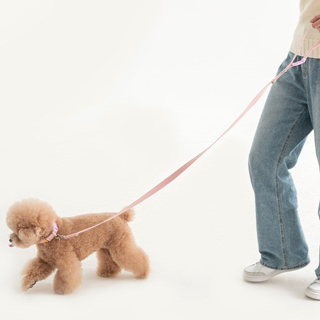 Candy Crayon Short Leash- 3 Pastel Colors