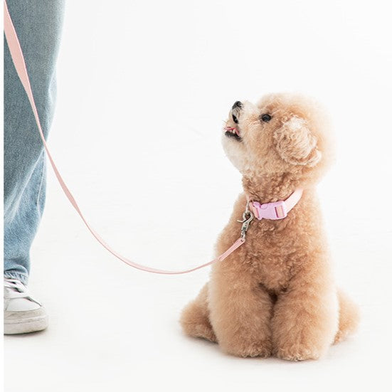 Candy Crayon Short Leash- 3 Pastel Colors