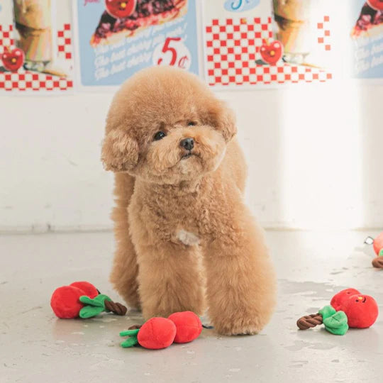 Cherry Tug Toy