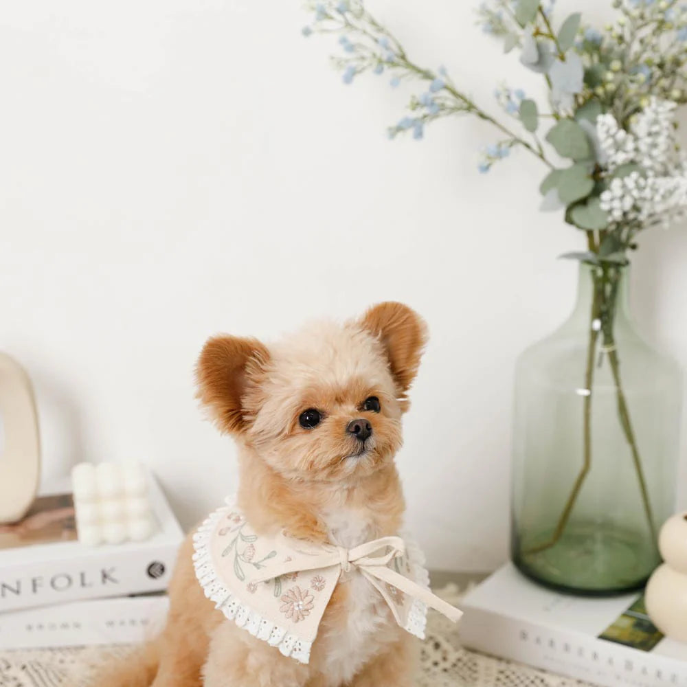 Flower Embroidered Frill Collar