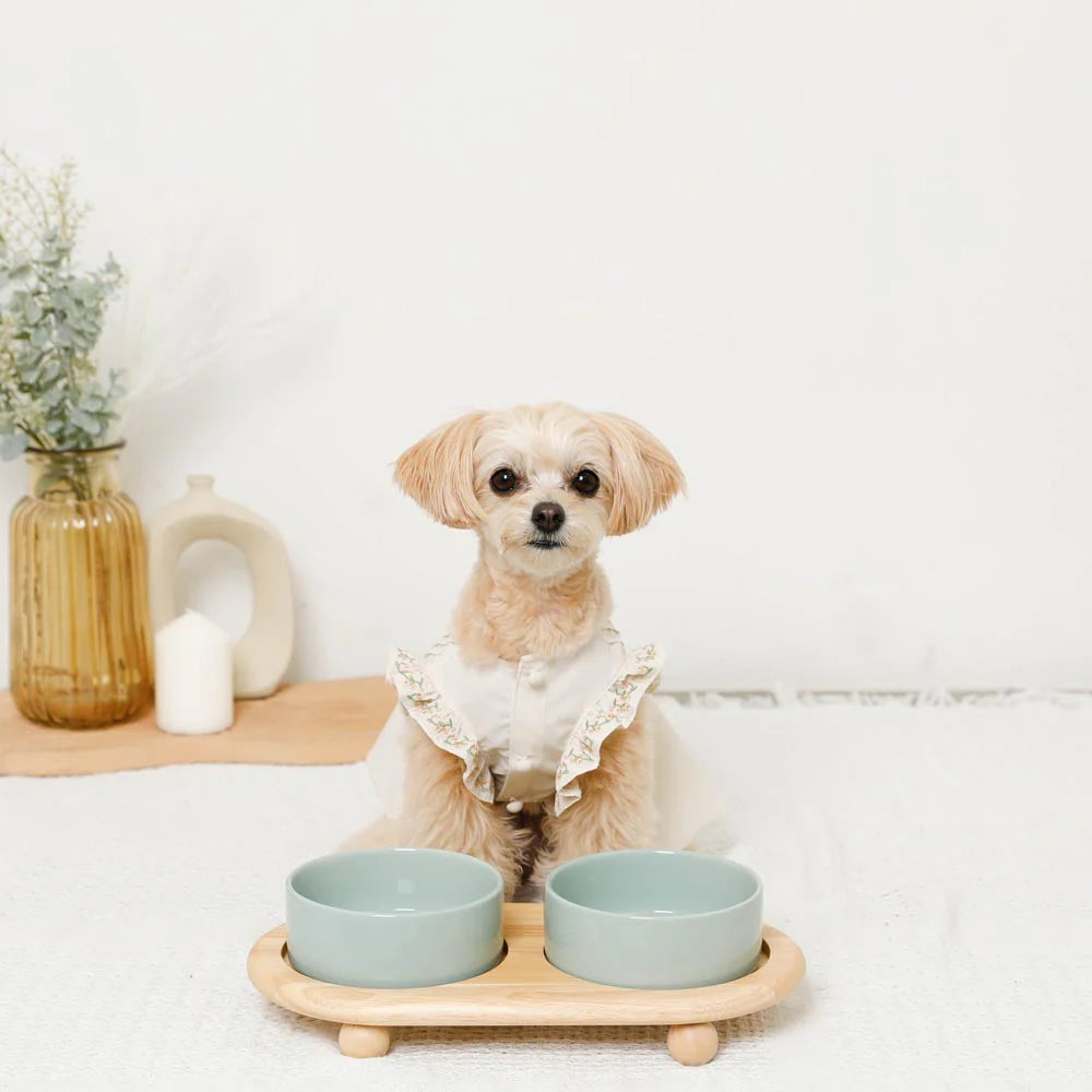 Wood Ball Base Double Food Bowl - 2 Colors