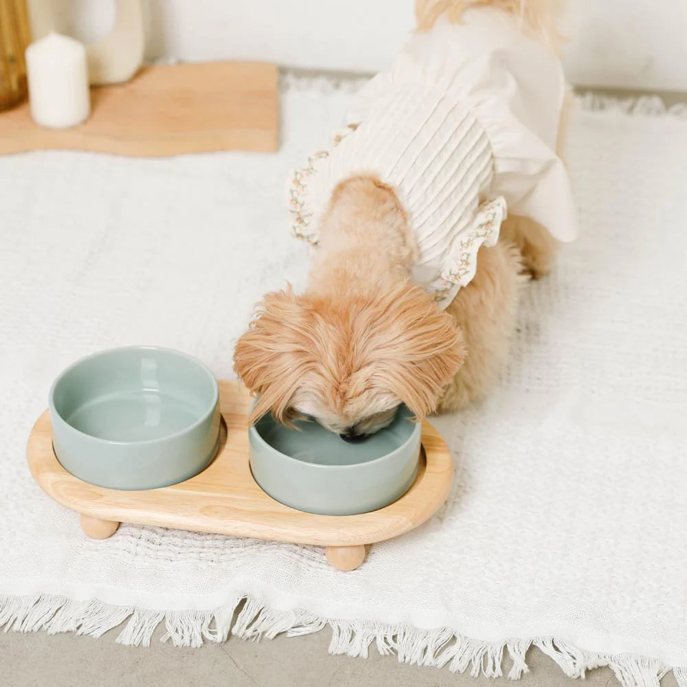 Wood Ball Base Double Food Bowl - 2 Colors