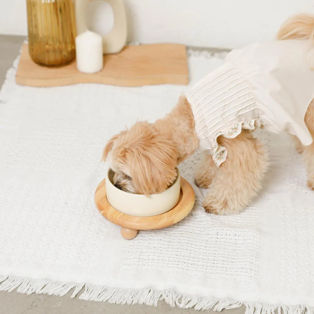 Wood Ball Base Single Food Bowl - 2 Colors