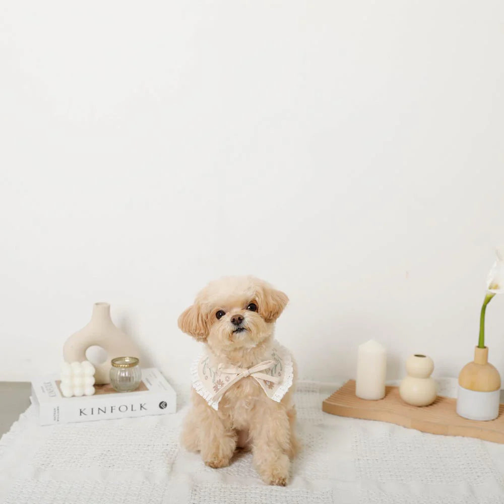 Flower Embroidered Frill Collar