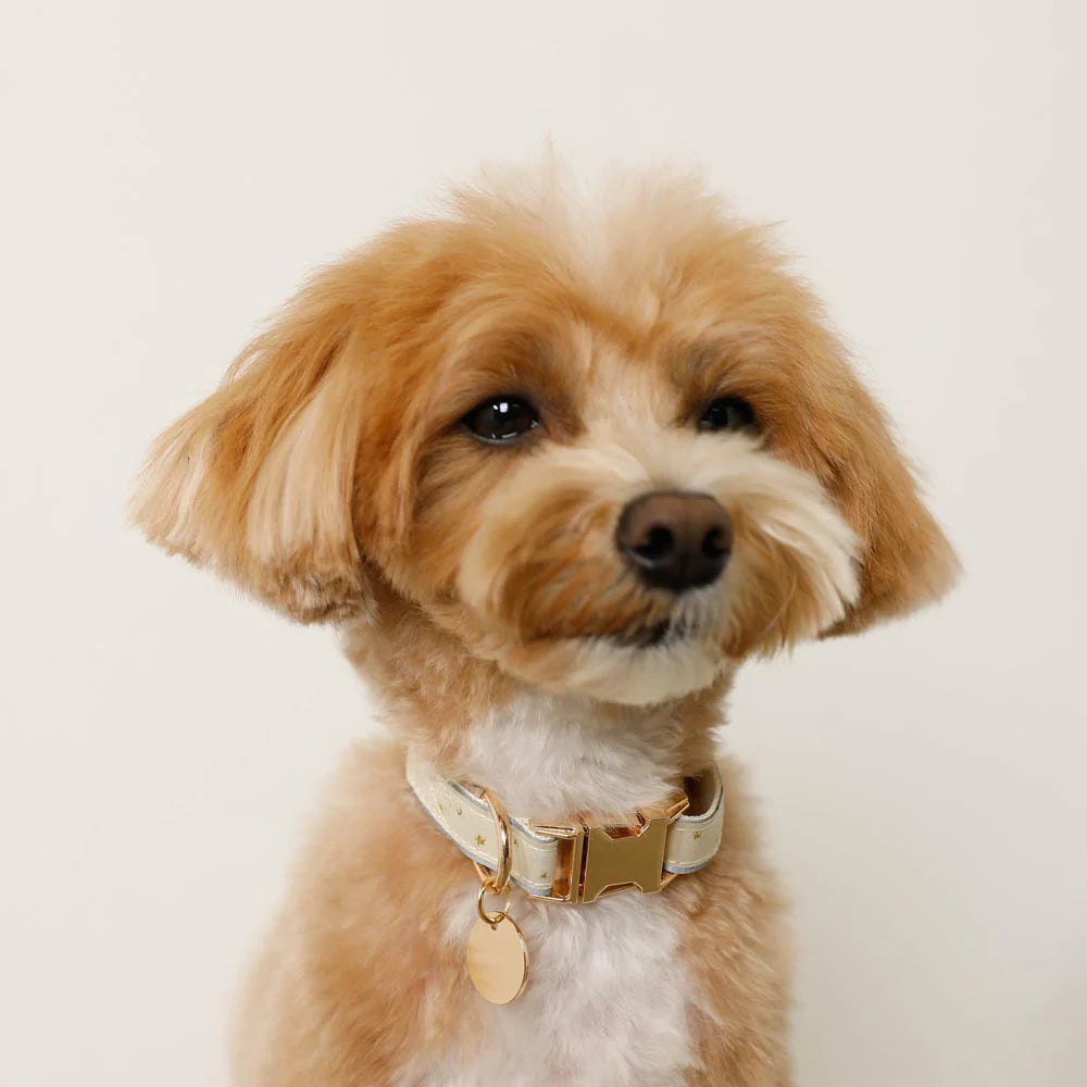 Star Pattern Reflective Collar - 2 Colors