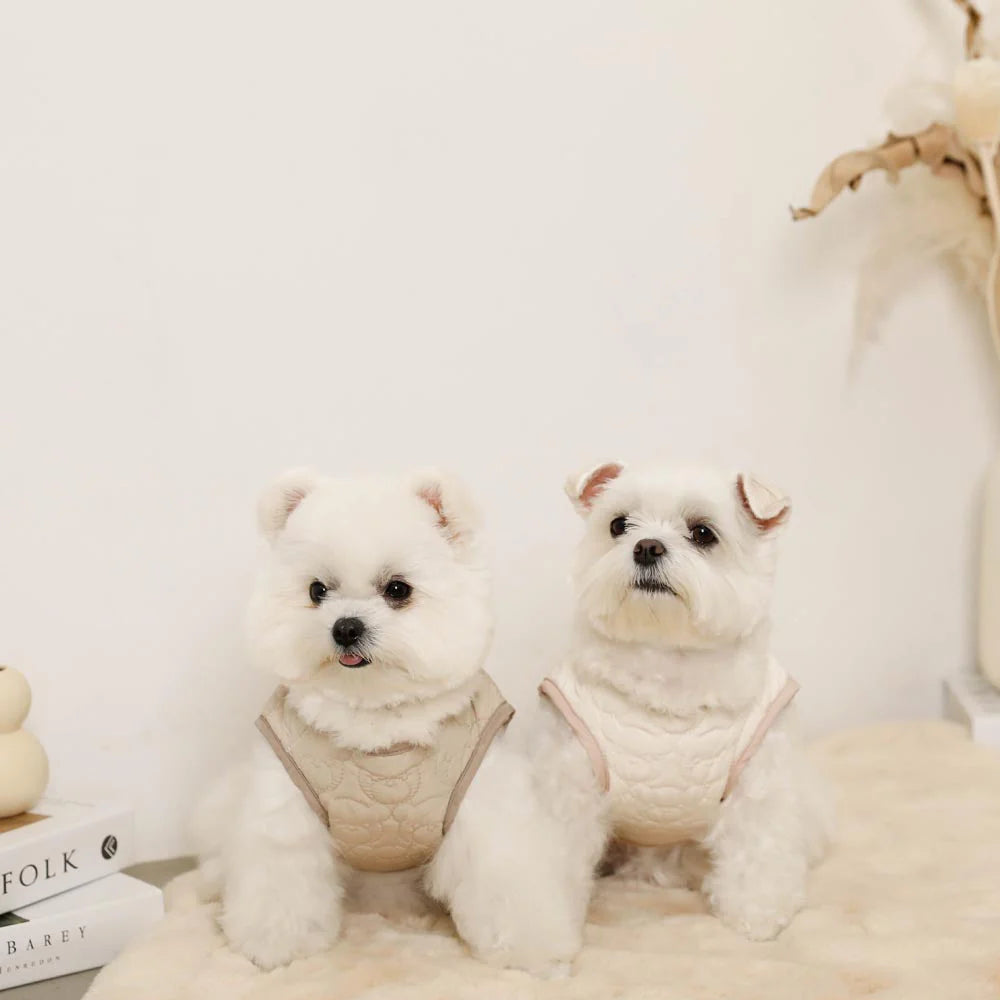 Reversible Boa Bear Quilted Jacket - 2 Colors