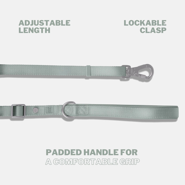 Pistachio Green Adjustable Dog Lead