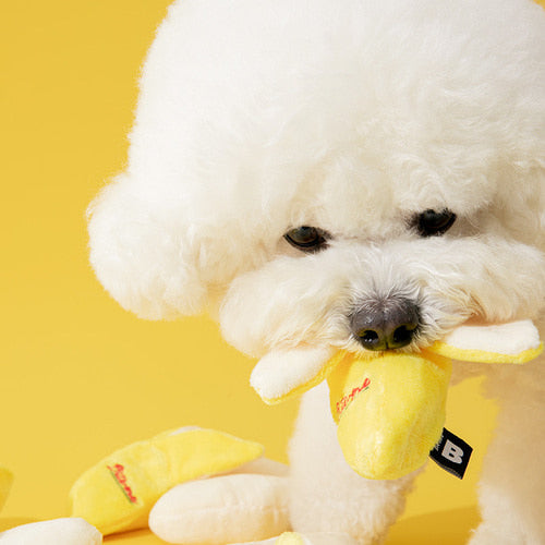 Banana Squeaky Toy