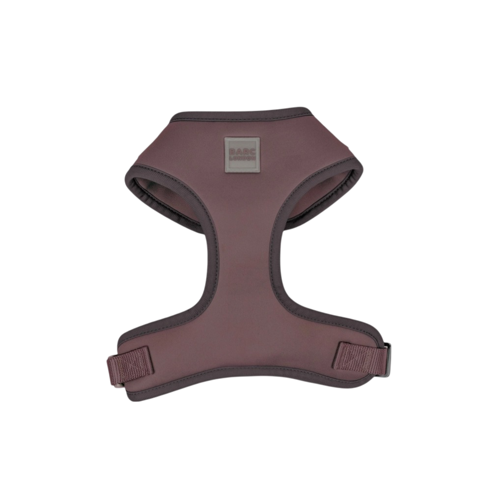 Russet Brown Basic Walk Set
