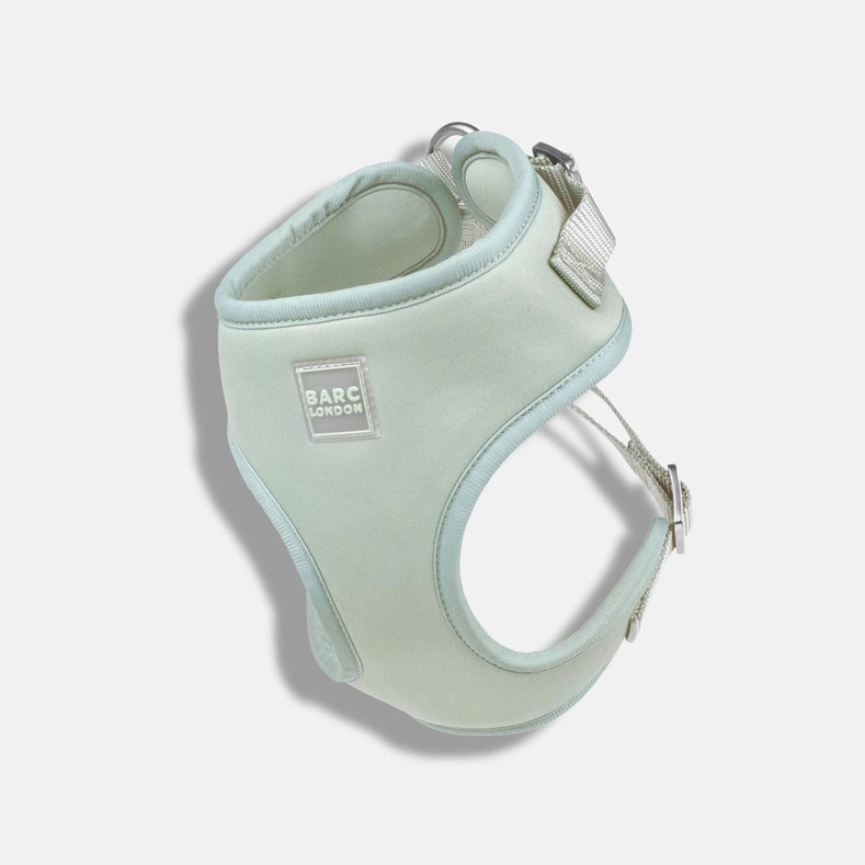 Pistachio Green Basic Walk Set