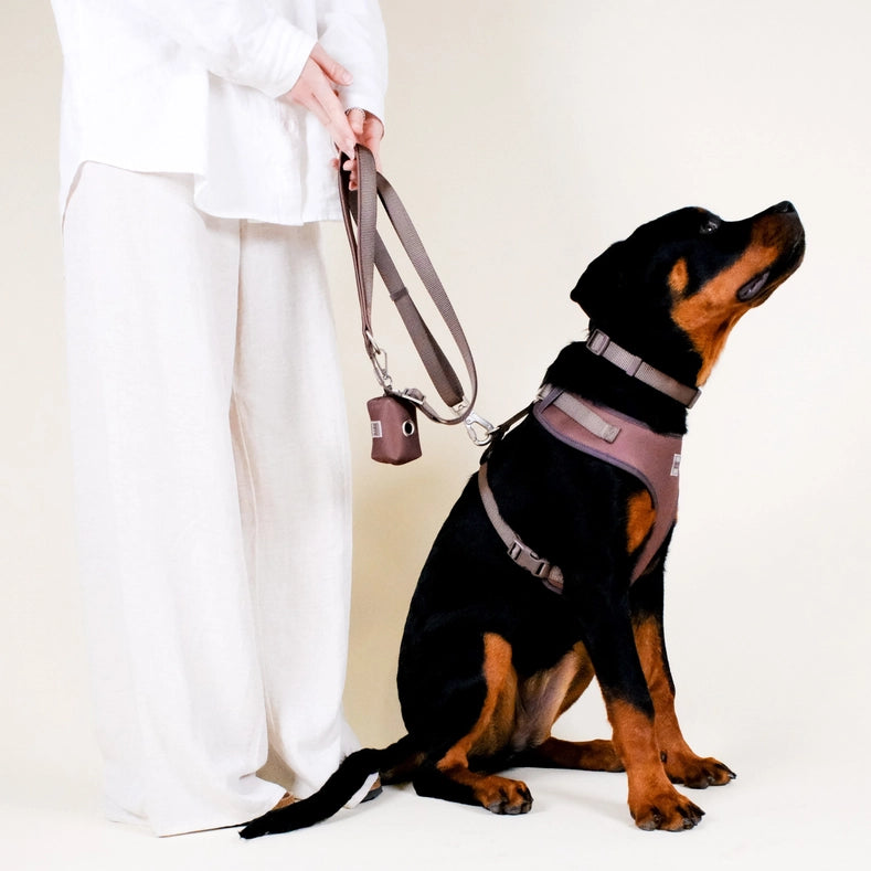 Russet Brown Adjustable Dog Leash