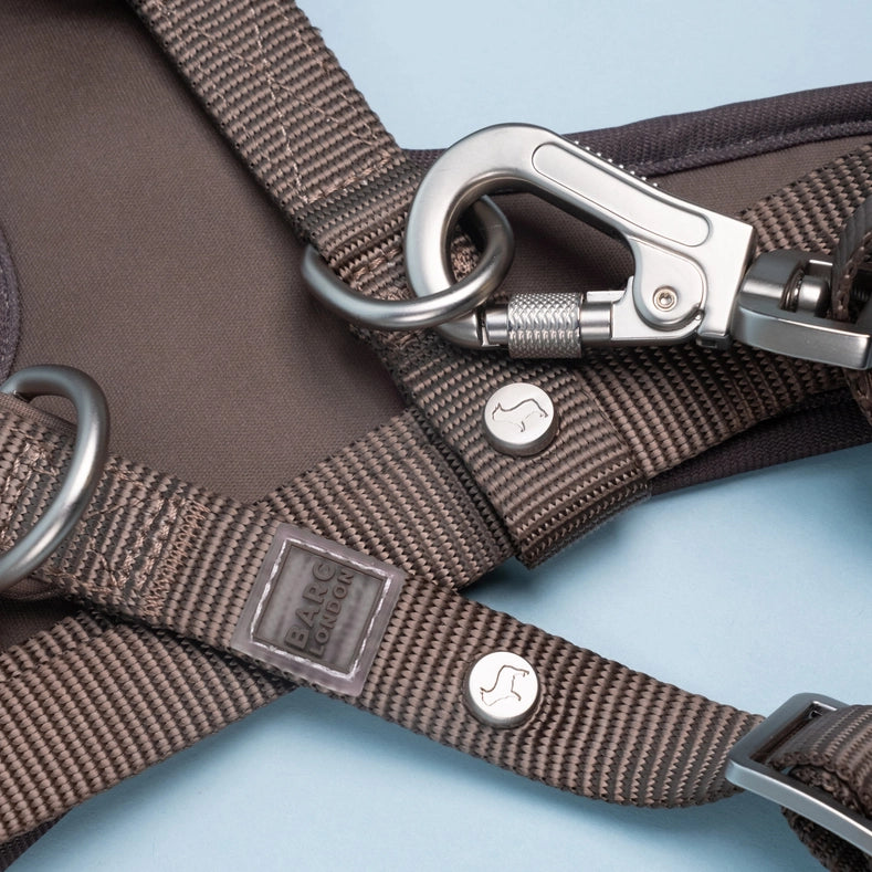 Russet Brown Adjustable Dog Leash
