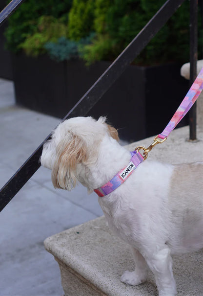 Gentle Collar - 4 Colors
