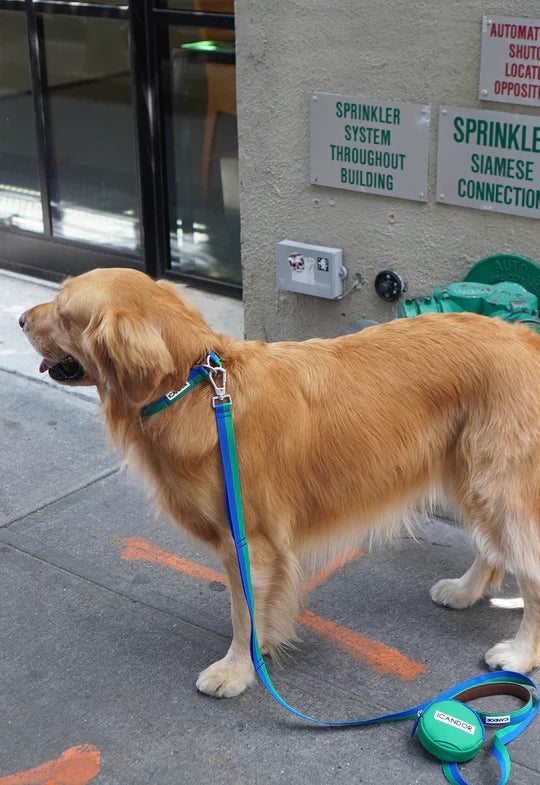 Gentle Leash Bolt, Long - 3 Colors