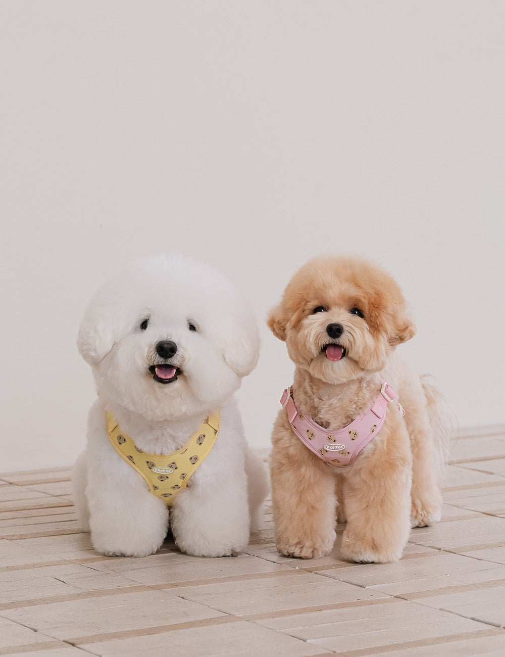 Teddy Bear Bebe Harness - 3 Colors