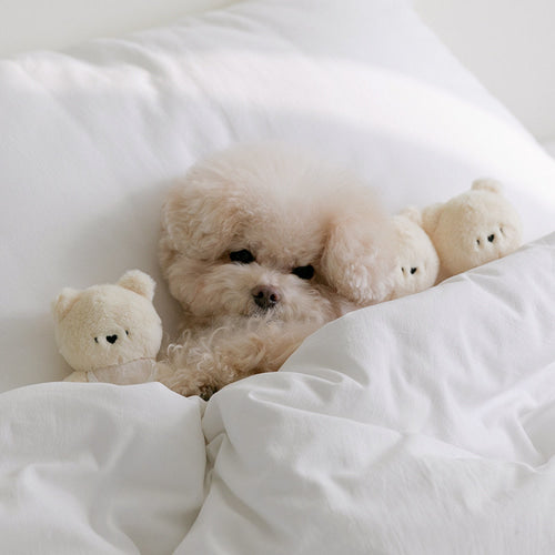 My Bestie Bear Toy