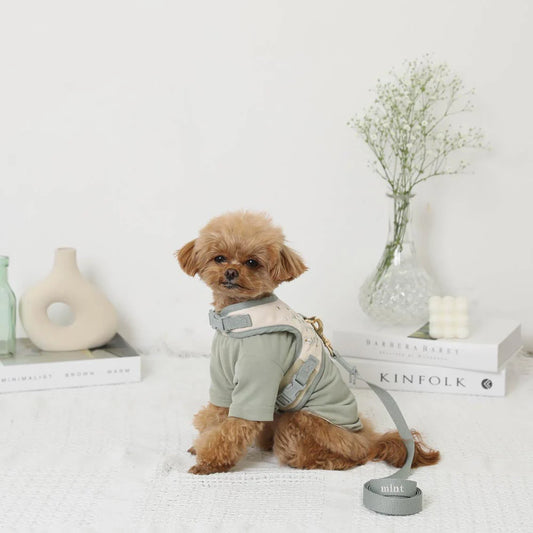 Cooling Flower Pattern Walk Set [Harness + Leash]