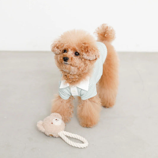 Bear Plush Rope Toy