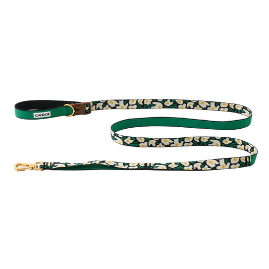 Gentle Leash Bolt - 3 Colors